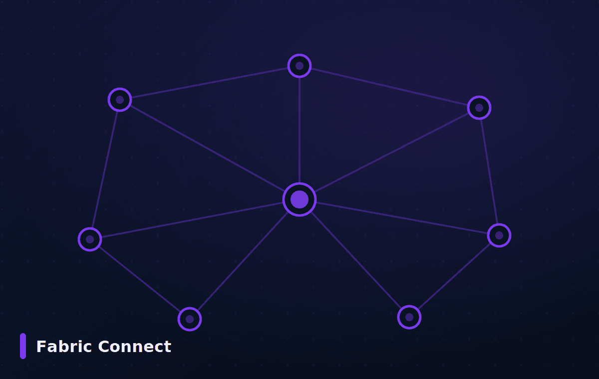 Fabric Connect Extreme Networks — Fabric Connect